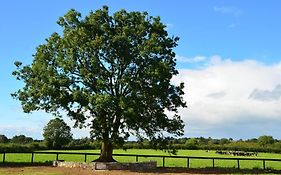 The Stable, Bennettsbridge, Kilkenny